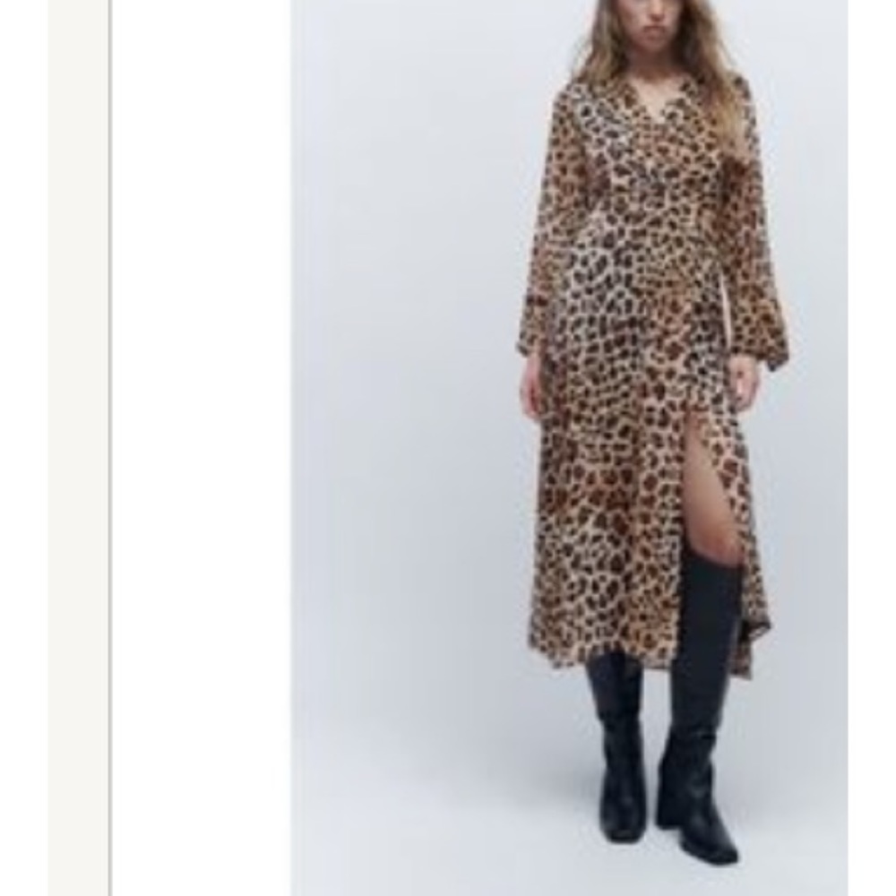 Zara Leopard Print Midi Dress in Brown and Black - Picture 3 of 3